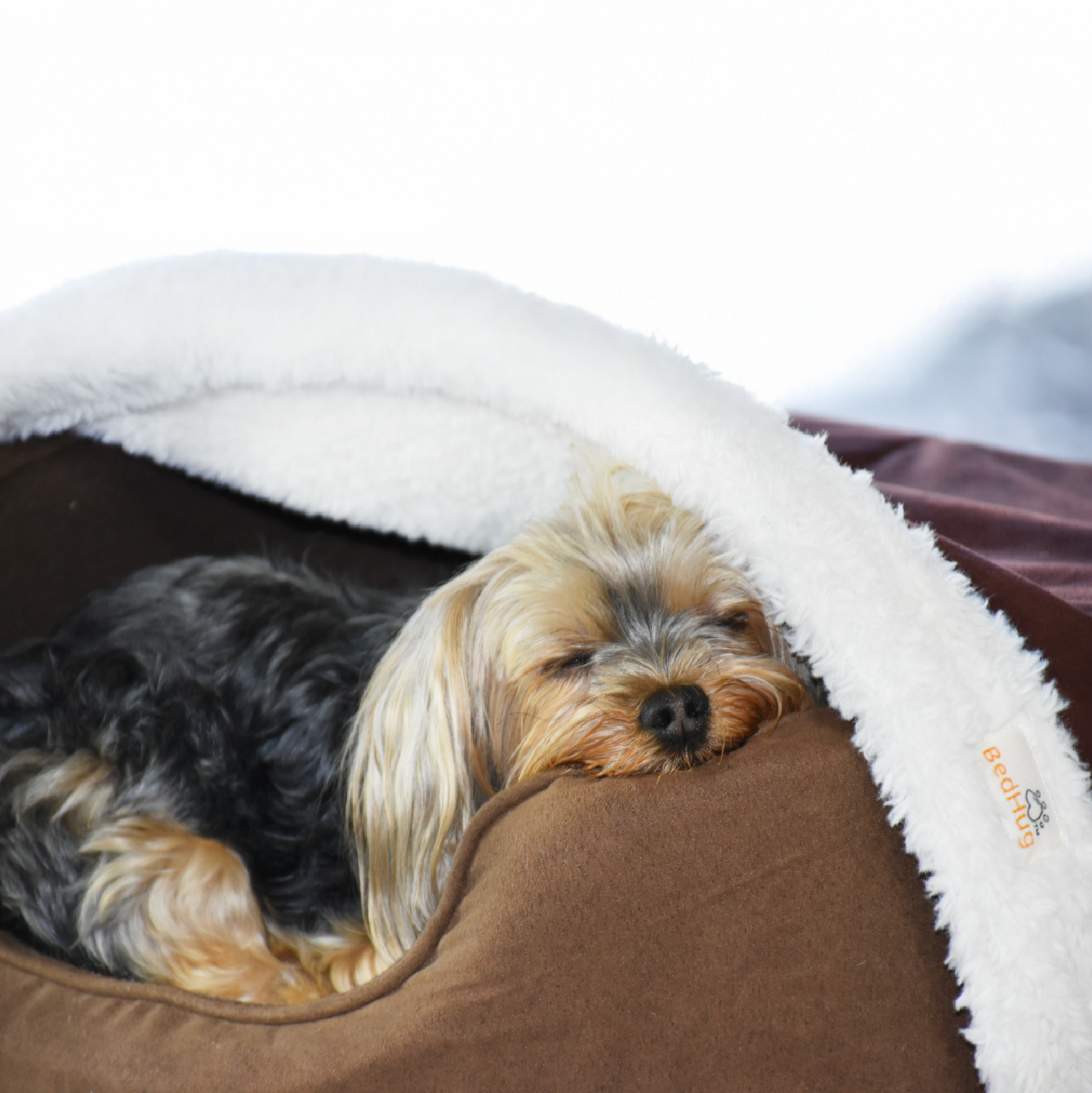 SMALL BEDHUG COVER - UP TO 15 LBS