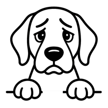 ease separation anxiety & stress