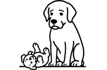 PuRrfect for puppies & seniors