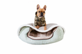 Load image into Gallery viewer, MEDIUM BEDHUG COVER - UP TO 30 LBS
