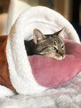 Load image into Gallery viewer, SMALL BEDHUG COVER - UP TO 15 LBS
